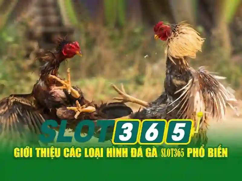 Các tính năng nổi bật
