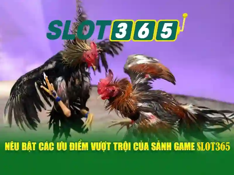 Slot365 là gì? | Nền tảng chơi slot trực tuyến hàng đầu Giao diện nhà cái hoàn hảo