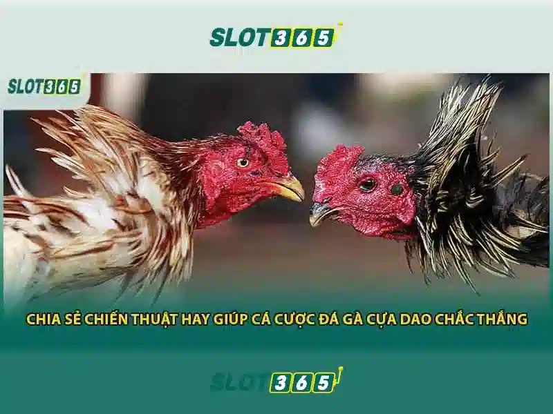 Slot365: Nền tảng slot trực tuyến nổi bật cho người chơi Việt Giao diện nhà cái hoàn hảo