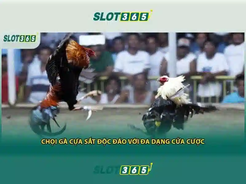 Slot365 là nền tảng chơi slot trực tuyến phổ biến