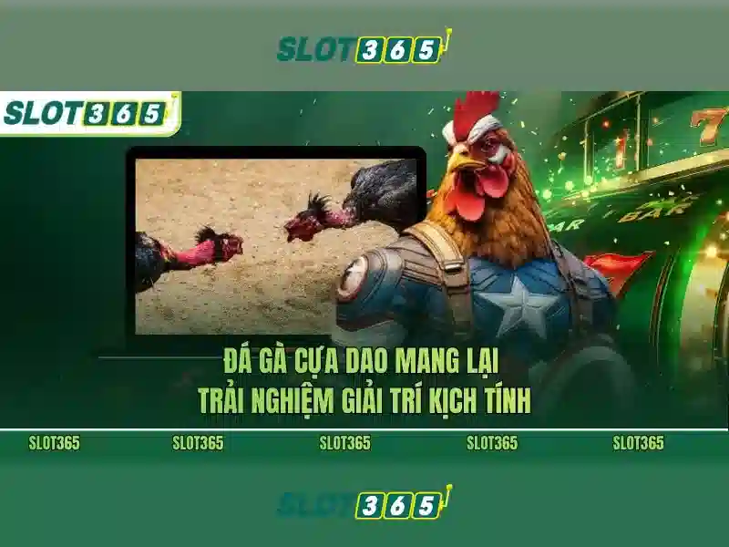 Slot365 – Nền tảng slot trực tuyến uy tín và đầy thú vị