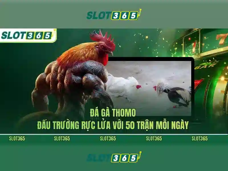 Danh mục trò chơi của Slot365