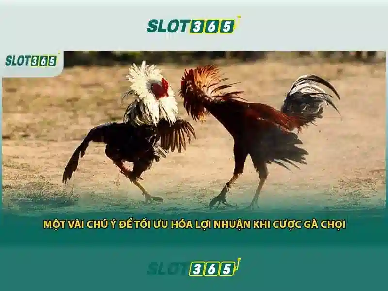 Slot365 - Nền tảng casino trực tuyến uy tín cho người chơi Việt Giao diện nhà cái hoàn hảo