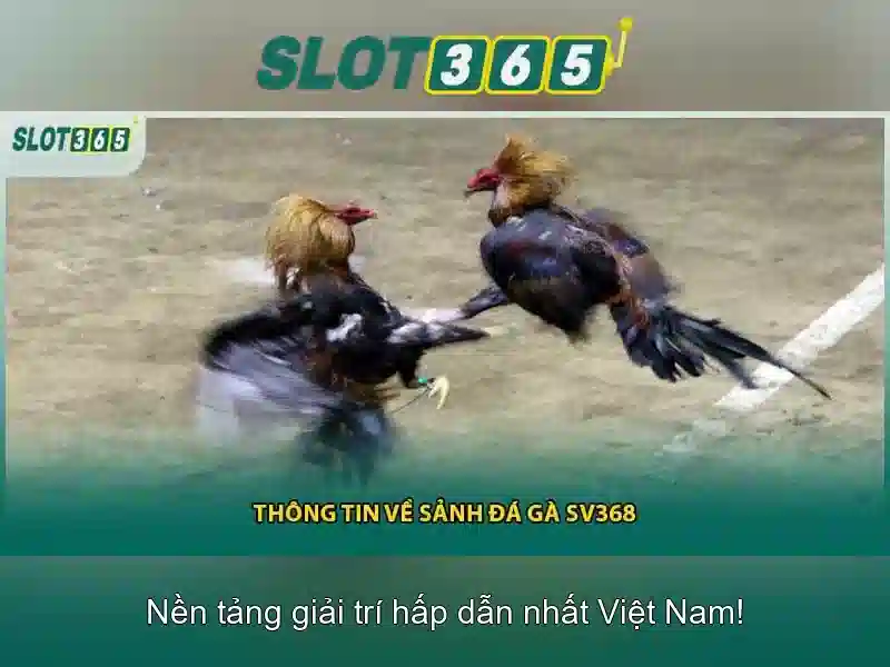 Cấu trúc và tính năng nổi bật