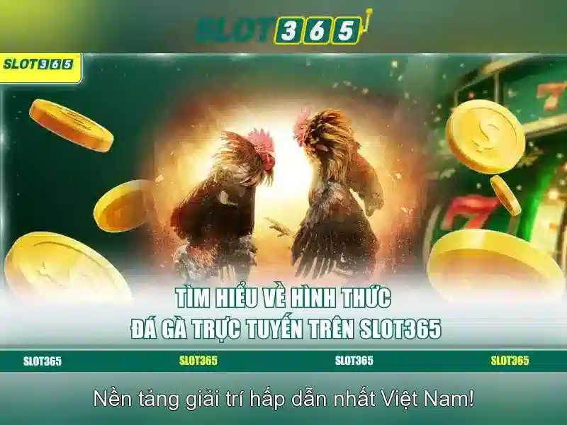 Khuyến mãi hấp dẫn và chương trình thành viên