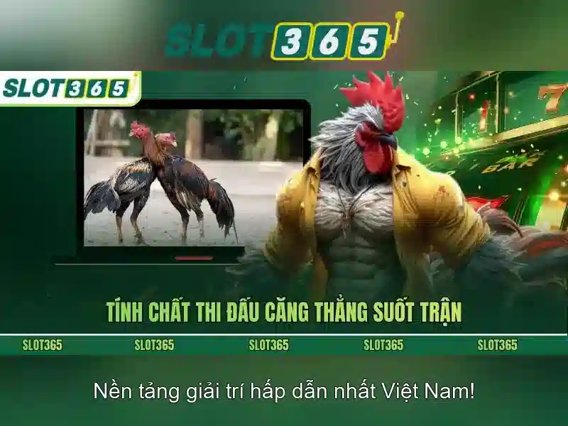 Giao diện nhà cái hoàn hảo