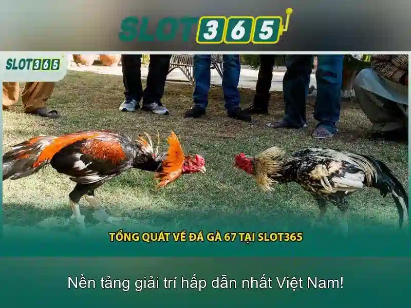 Trò chơi và phần mềm