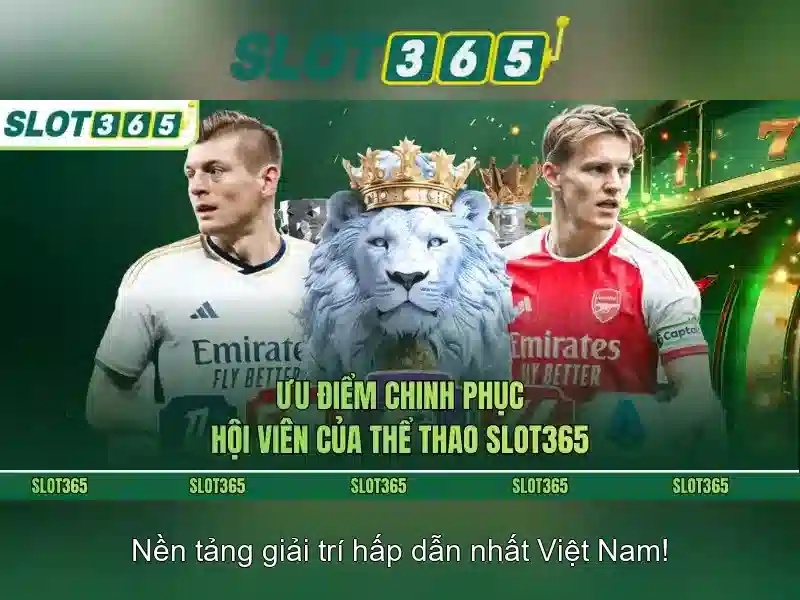 'Slot365 là gì?'
