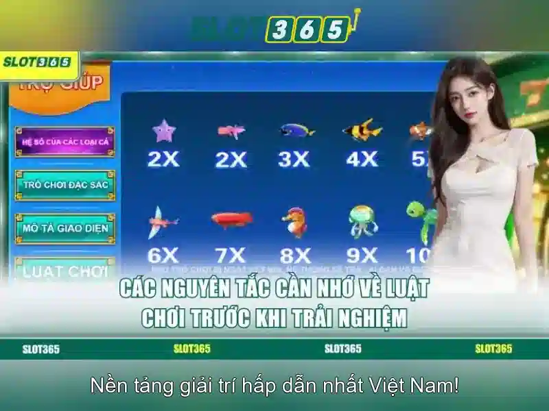 Giao diện nhà cái hoàn hảo