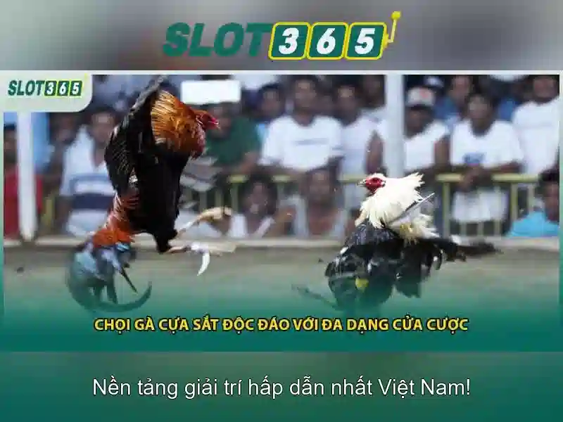 Trải nghiệm di động tối ưu cho mọi người chơi