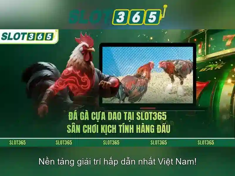 Trải nghiệm người dùng và hỗ trợ 24/7