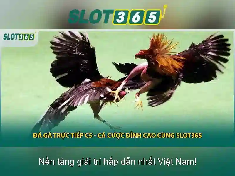 Giao diện trang chủ ứng dụng điện thoại di động Slot365 sắc nét và hiện đại