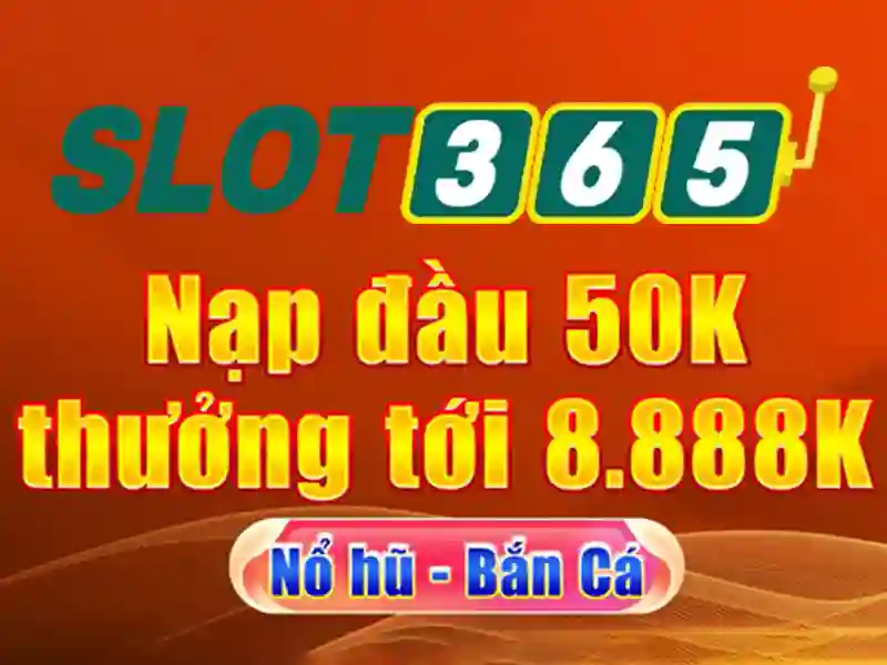 Trải nghiệm người dùng và an toàn