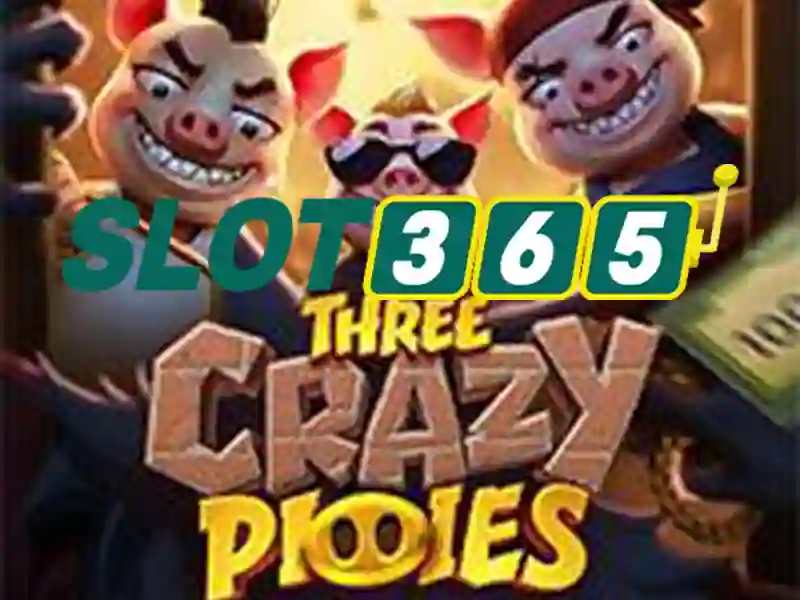 Slot365: Cổng sòng bạc trực tuyến và trải nghiệm trò chơi hàng đầu Giao diện nhà cái hoàn hảo