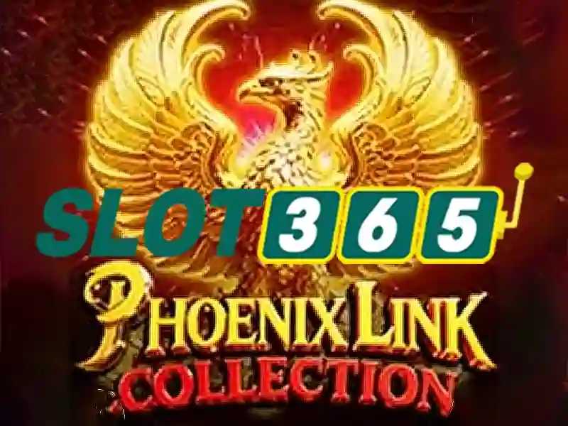 Slot365: Nền tảng trò chơi xèng trực tuyến đáng tin cậy Giao diện nhà cái hoàn hảo